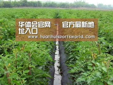 种植基地三