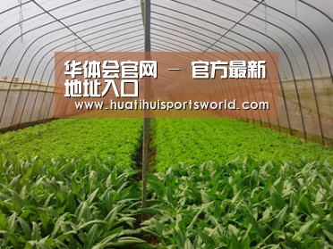 种植基地四