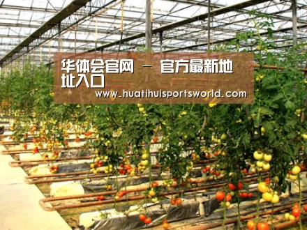 种植基地二
